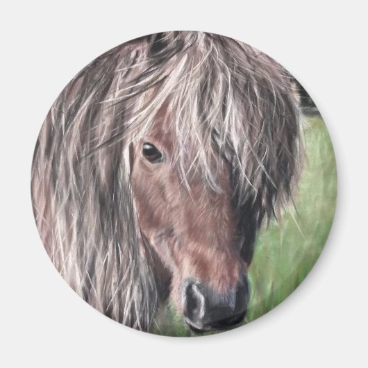 Cute Shetland Pony Magneet (Voorkant)