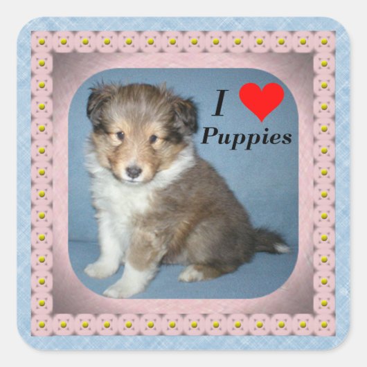 Cute Shetland Sheepdog Puppy Dog Stickers (Voorkant)