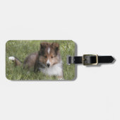 Cute Shetland Sheepdog puppy in gras Bagagelabel (Voorkant horizontaal)