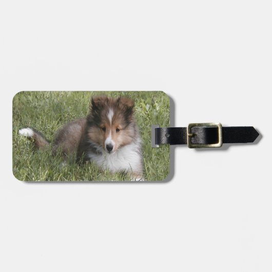 Cute Shetland Sheepdog puppy in gras Bagagelabel (Voorkant horizontaal)