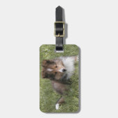 Cute Shetland Sheepdog puppy in gras Bagagelabel (Voorkant verticaal)