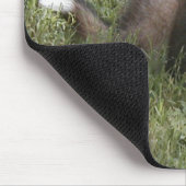 Cute Shetland Sheepdog puppy in gras Muismat (Hoek)