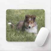 Cute Shetland Sheepdog puppy in gras Muismat (Met muis)