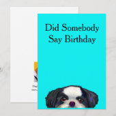 Cute Shih Tzu Dog Birthday Card Kaart (Voorkant / Achterkant)