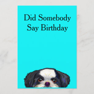 Cute Shih Tzu Dog Birthday Card Kaart