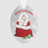 Cute Shih Tzu Dog Gift Surprise Ornament (voorkant)