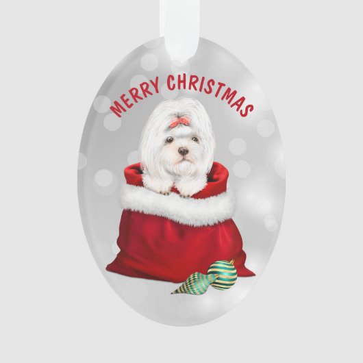 Cute Shih Tzu Dog Gift Surprise Ornament (voorkant)