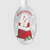 Cute Shih Tzu Dog Gift Surprise Ornament (voorkant)