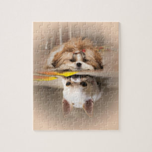 Cute shih tzu en chihuahua legpuzzel