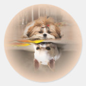 Cute shih tzu en chihuahua ronde sticker (Voorkant)