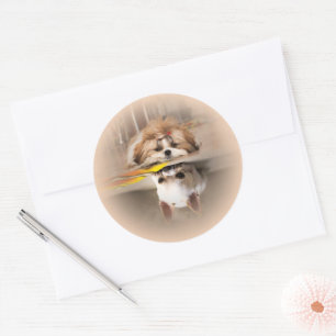 Cute shih tzu en chihuahua ronde sticker