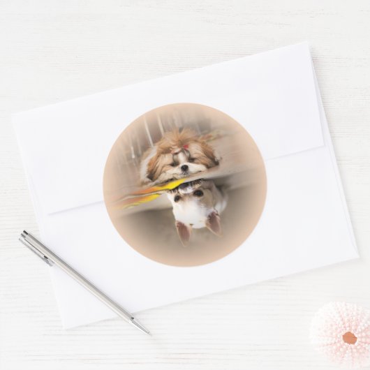 Cute shih tzu en chihuahua ronde sticker (Envelop)
