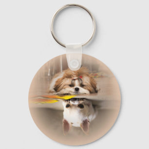 Cute shih tzu en chihuahua sleutelhanger