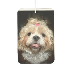 Cute Shih Tzu face Luchtverfrisser