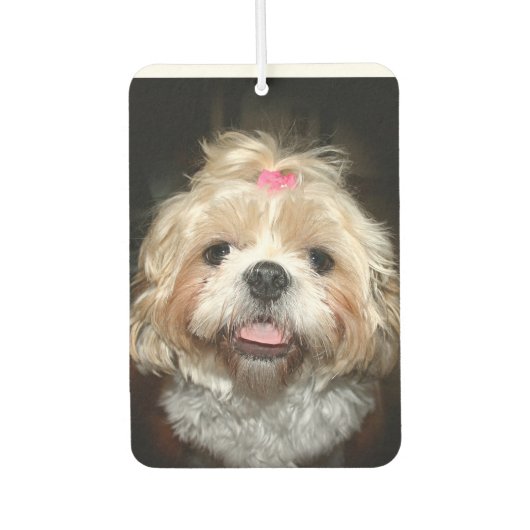 Cute Shih Tzu face Luchtverfrisser (Voorkant)