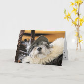 Cute Shih Tzu-hondenkaart Kaart (Gele Bloem)