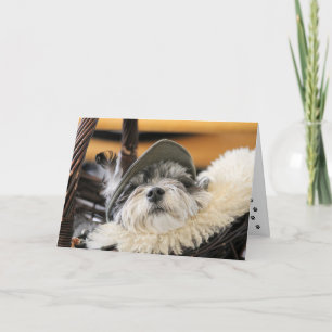 Cute Shih Tzu-hondenkaart Kaart
