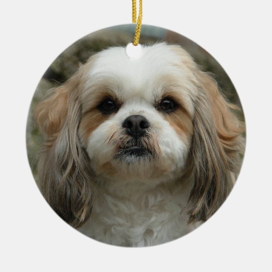 Cute Shih Tzu kerstversiering Keramisch Ornament (Voorkant)