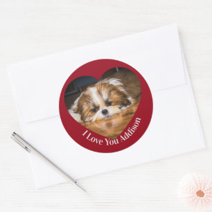 Cute shih tzu love Valentijn hartfoto Ronde Sticker