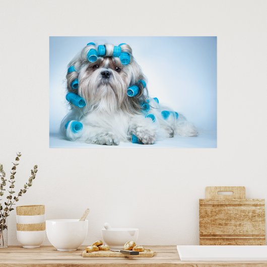 Cute Shih Tzu Poster (Keuken)