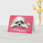 Cute Shih Tzu Puppy: Denk aan jou Kaart (Gele Bloem)