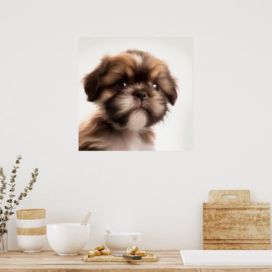 Cute Shih Tzu Puppy Dog Portrait Poster (Keuken)