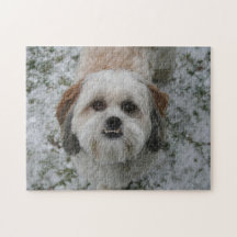 Cute Shih Tzu Underbeet Puzzle