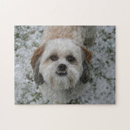 Cute Shih Tzu Underbeet Puzzle Legpuzzel