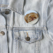 Cute Shitzu Ronde Button 5,7 Cm (In situ)