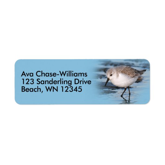 Cute Shorebird Sandpiper on the Shore Etiket (Voorkant)