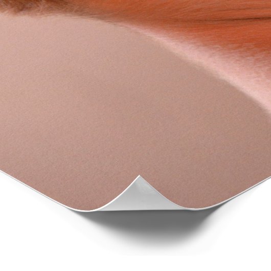 Cute Short Hair Poster (Hoek)