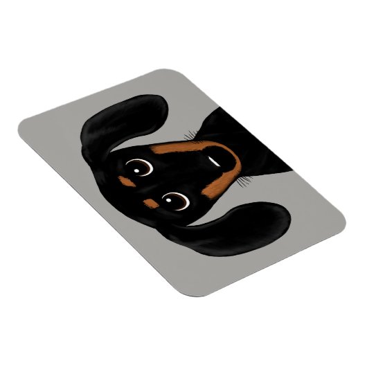 Cute Short Hazard Black en Tan Dachshund Magneet (Rechterzijde)