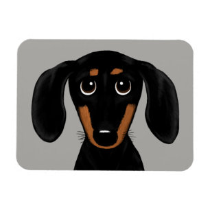 Cute Short Hazard Black en Tan Dachshund Magneet