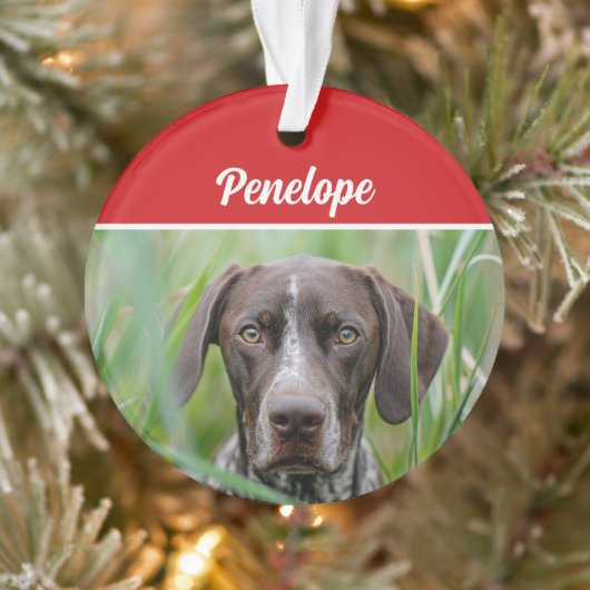 Cute Shorthair Pointer Dog Holiday Christmas Photo Ornament (Boom)