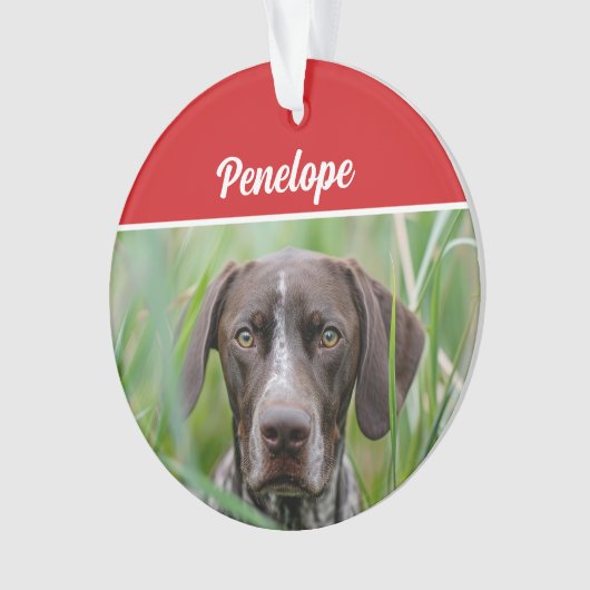 Cute Shorthair Pointer Dog Holiday Christmas Photo Ornament (voorkant)