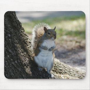 Cute, Shy Squirrel mousepad Muismat