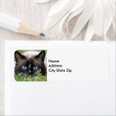 Cute Siamese Cat-fotolabel Etiket (Insitu)