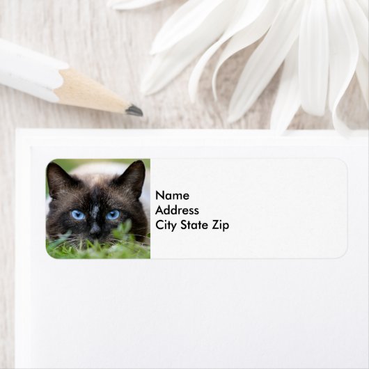 Cute Siamese Cat-fotolabel Etiket (Insitu)