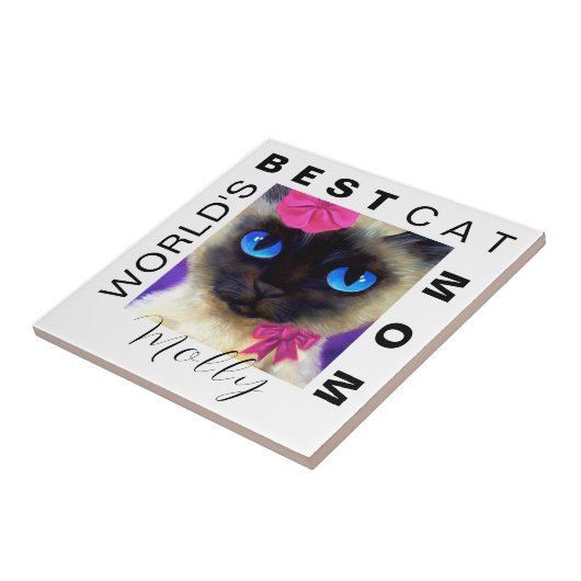 Cute Siamese Cat Kitten Fotonaam Tegeltje (Zijkant)