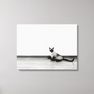 CUTE Siamese Kat Portret Foto Canvas Afdruk