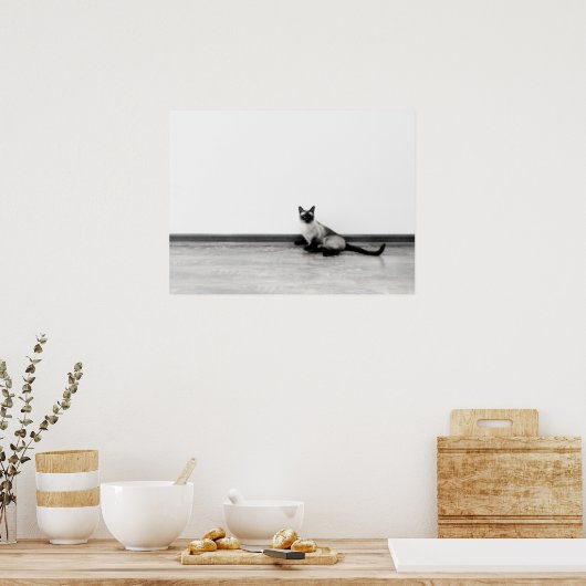 CUTE Siamese Kat Portret Foto Poster (Keuken)