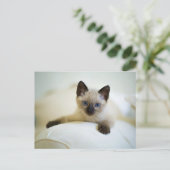Cute Siamese Kitten Briefkaart (Staand voorkant)