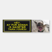 Cute Siamese Kitten Close-up-fotosjabloon Bumpersticker (Voorkant)