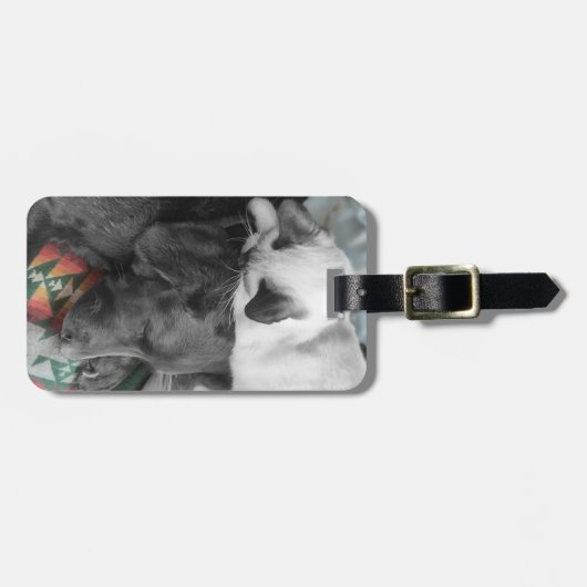 Cute Siamese Kitten leeft op het hoofd van Labrado Bagagelabel (Voorkant horizontaal)