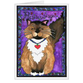 Cute Siamese Ragdoll Kitty Cat