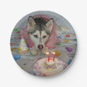 Cute Siberian Husky Birthday Bord (Voorkant)