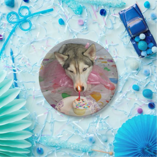 Cute Siberian Husky Birthday Bord (Feest)