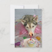 Cute Siberian Husky Birthday Invitation Kaart (Voorkant)