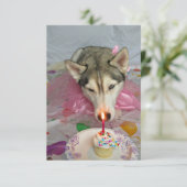 Cute Siberian Husky Birthday Invitation Kaart (Staand voorkant)