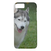Cute Siberian Husky Case-Mate iPhone Case (Achterkant)